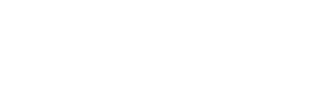 OptionSoft Logo